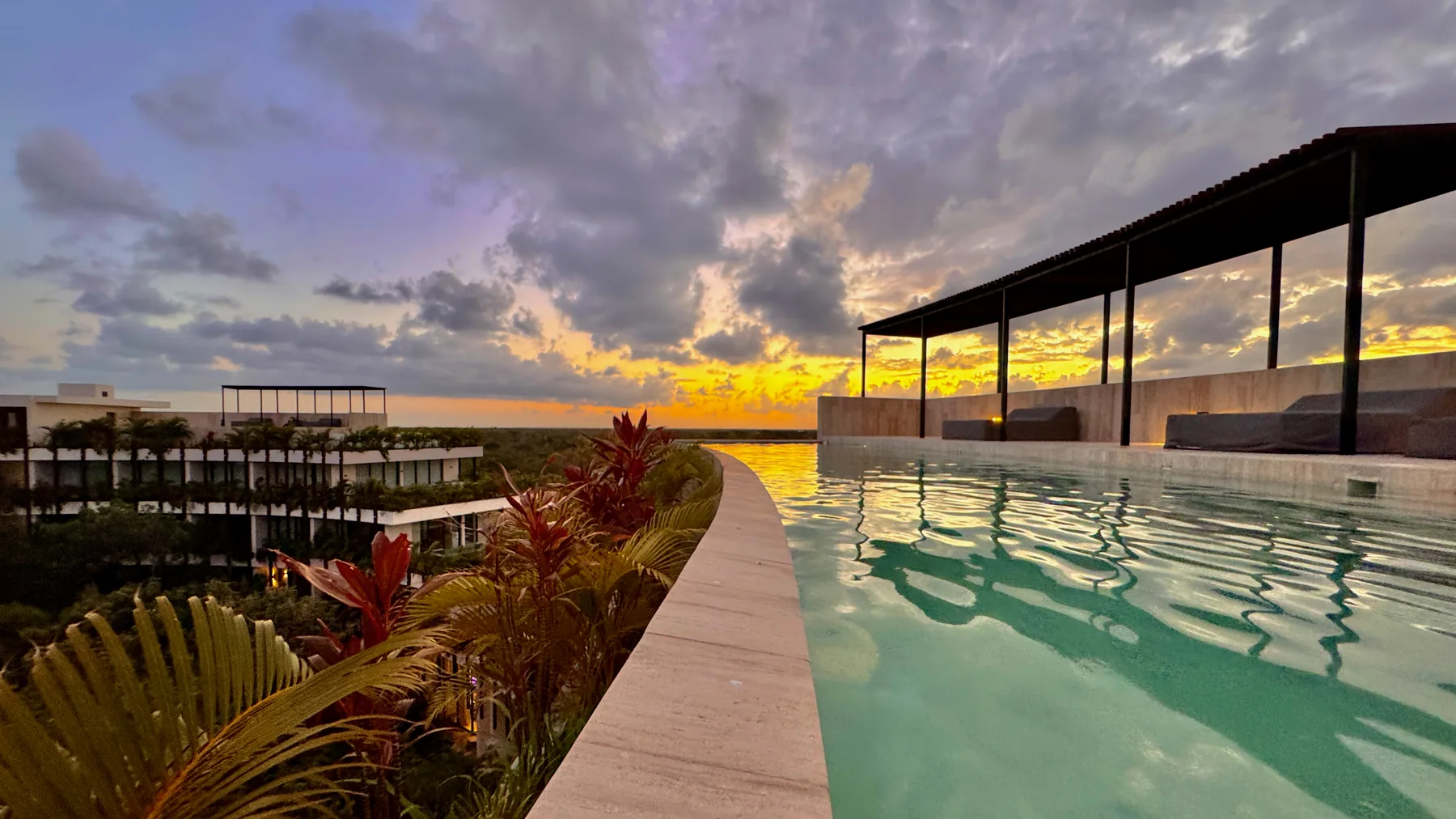 Rooftop infinity pool at sunset overlooking the Tulum treeline