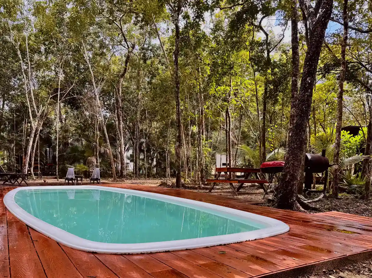 The pool set into a wooden deck under the tree canopy
