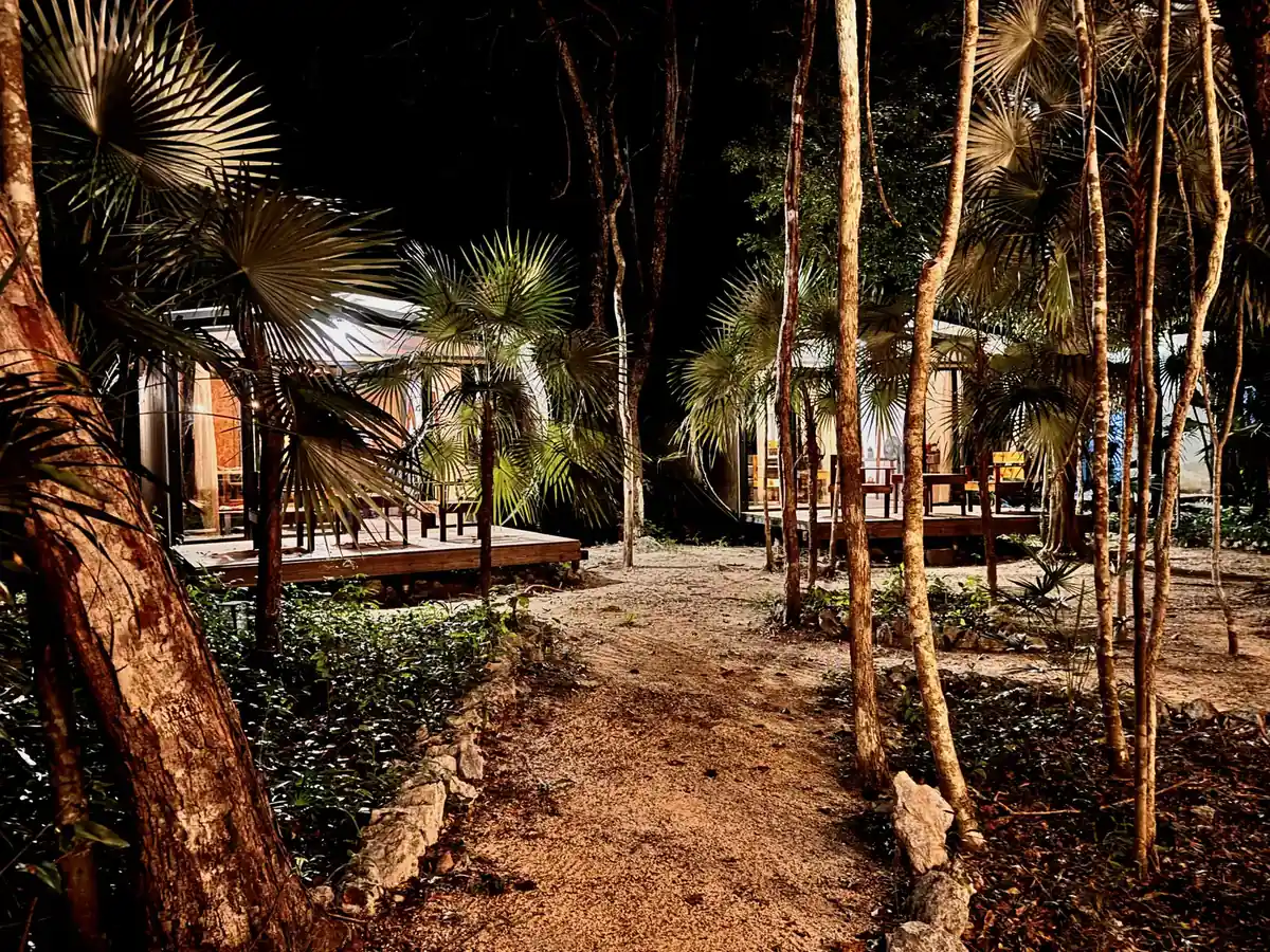 The cabins lit from within at night, among the palms